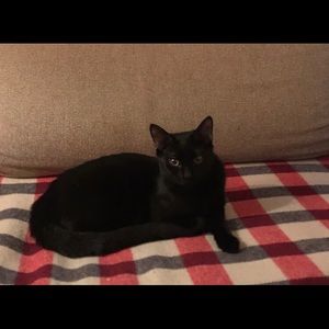 Meet your Posher, Ben